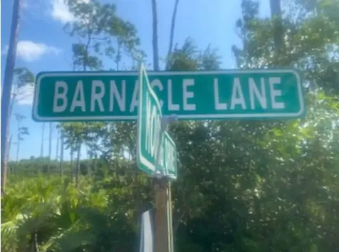 Barnacle Lane Grand Bahama Freeport BS