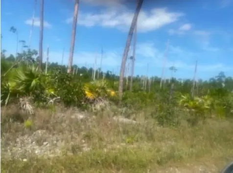 Barnacle Lane Grand Bahama Freeport BS