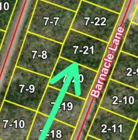 Barnacle Lane Grand Bahama Freeport BS
