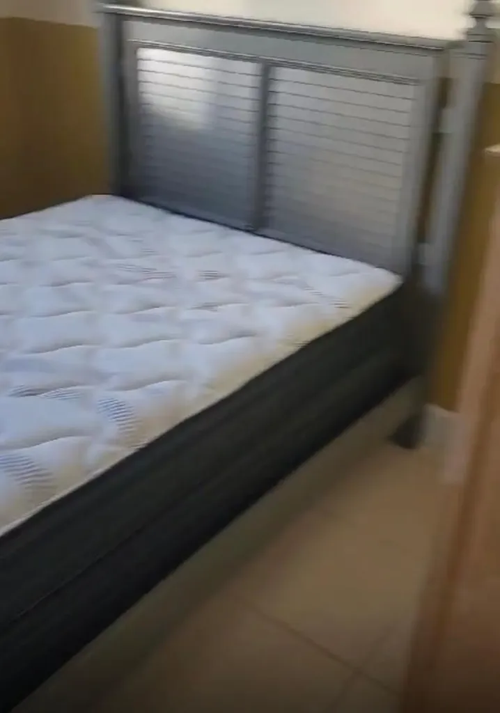 Central Pines Abaco BS