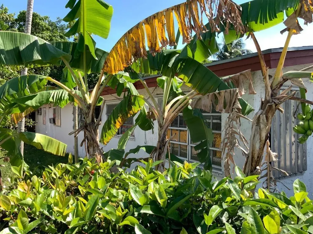 Sappodilla Boulevard 93 New Providence Paradise Island BS