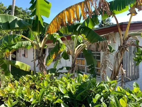 Sappodilla Boulevard 93 New Providence Paradise Island BS