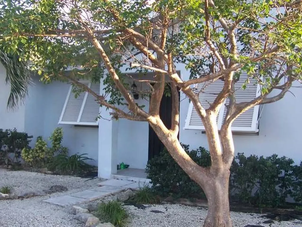 Tropical Gardens New Providence Paradise Island BS