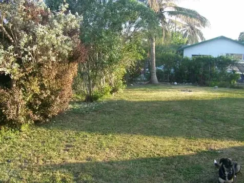 Tropical Gardens New Providence Paradise Island BS