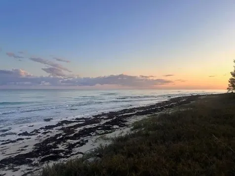 Pelican Point Grand Bahama Freeport BS