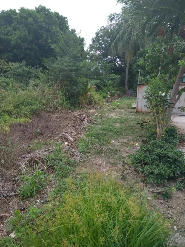 Windor Place Road New Providence Paradise Island BS