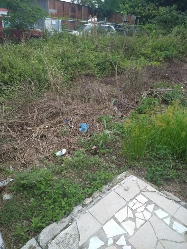 Windor Place Road New Providence Paradise Island BS