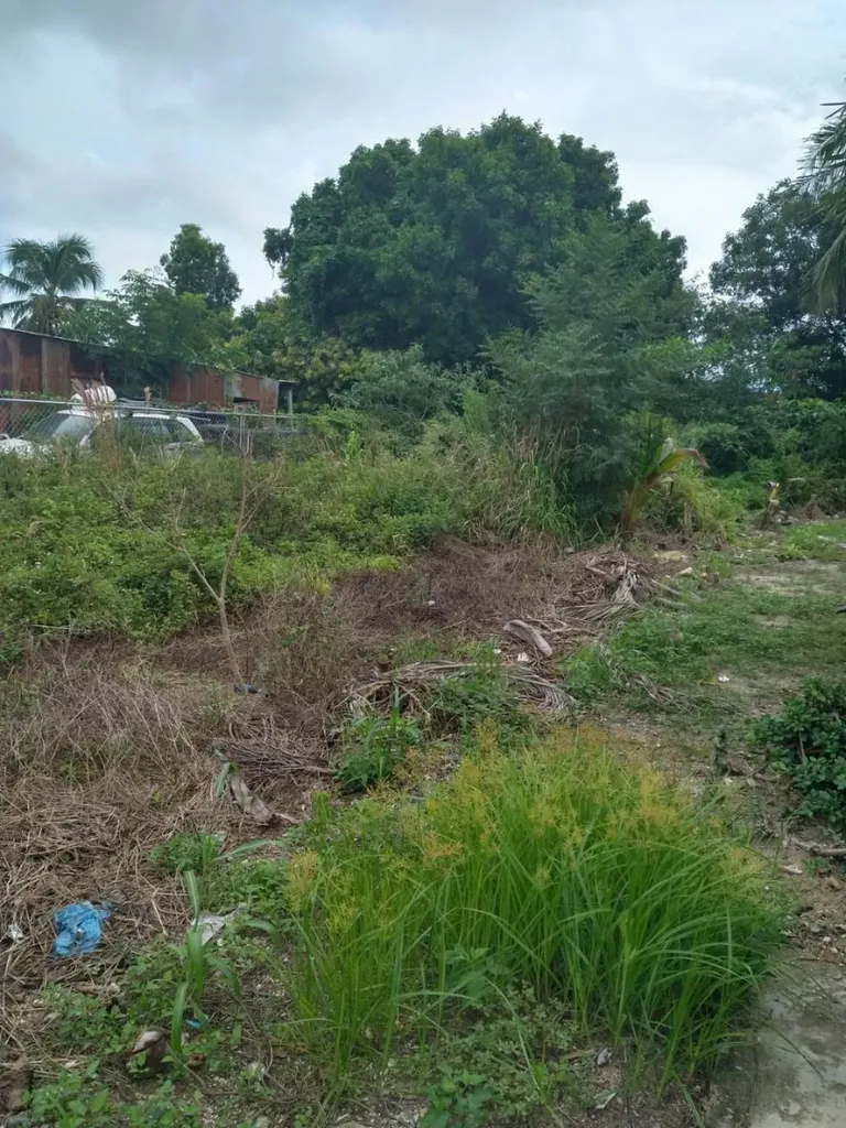 Windor Place Road New Providence Paradise Island BS