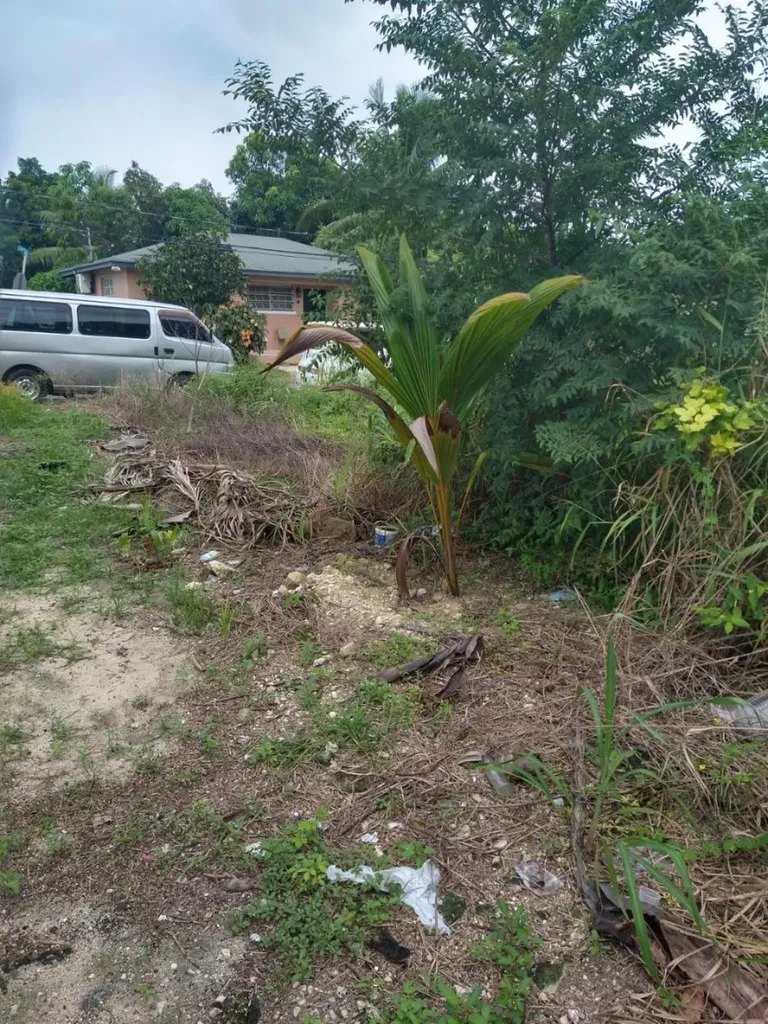 Windor Place Road New Providence Paradise Island BS