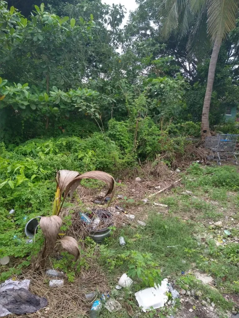 Windor Place Road New Providence Paradise Island BS