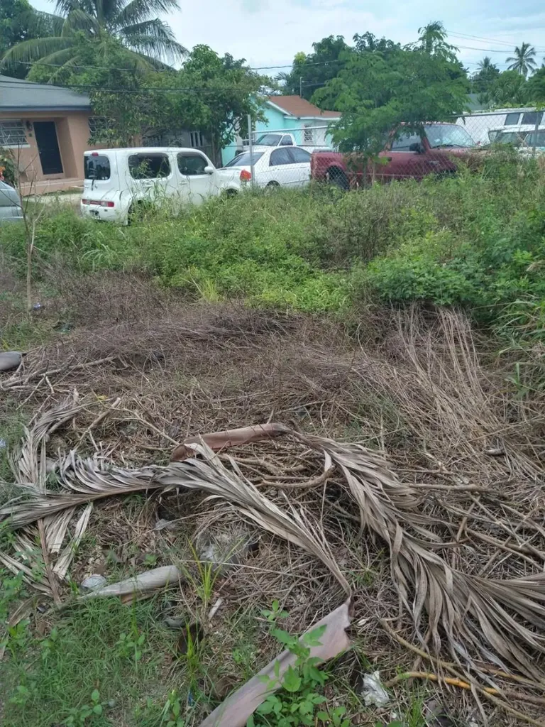 Windor Place Road New Providence Paradise Island BS