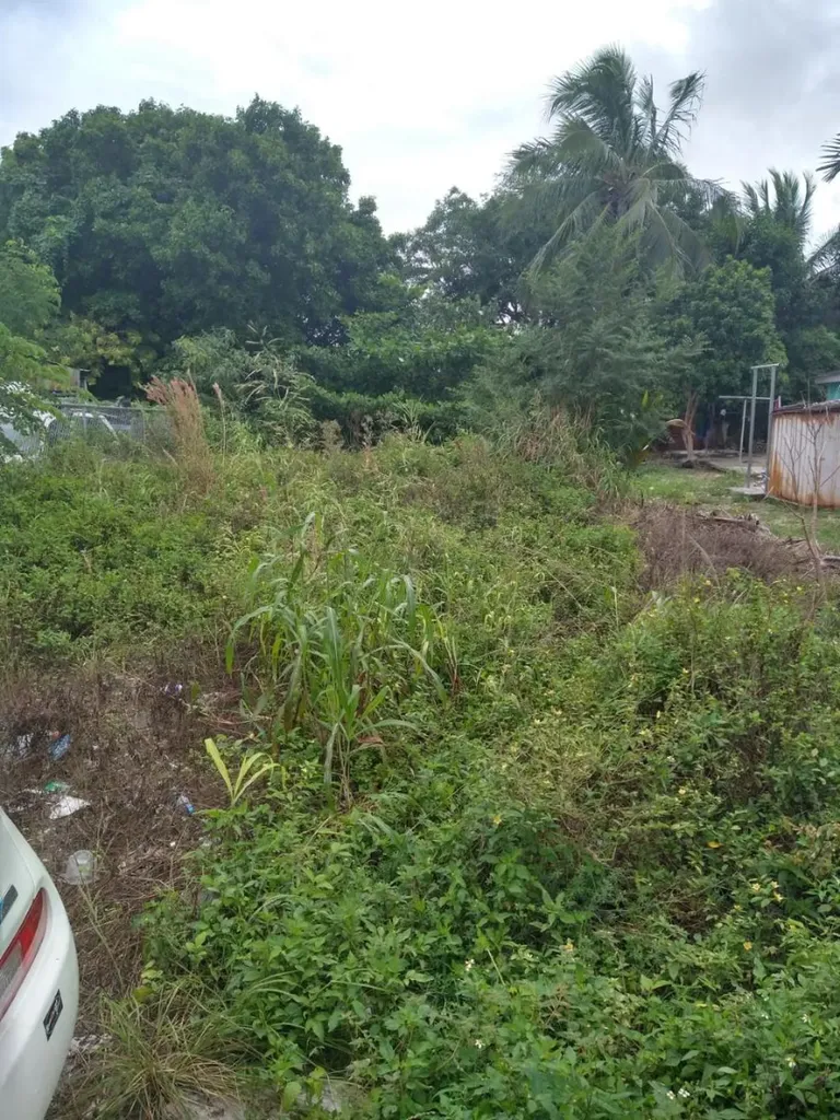 Windor Place Road New Providence Paradise Island BS