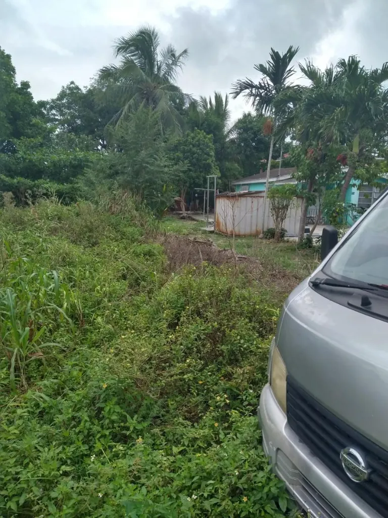 Windor Place Road New Providence Paradise Island BS