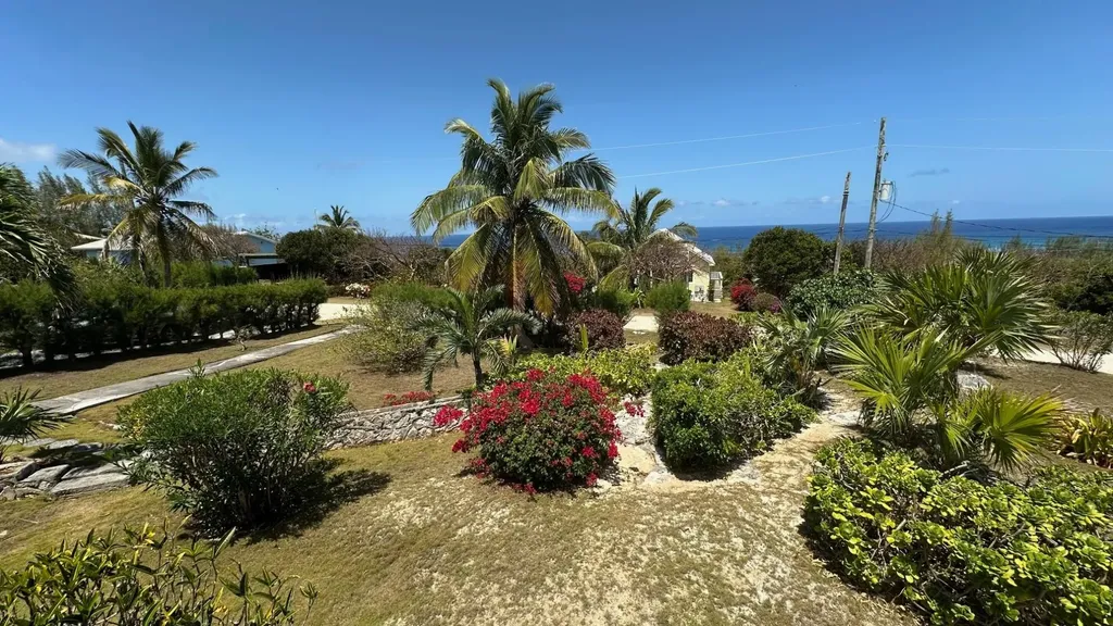 Elysium Signal Light Road Eleuthera BS