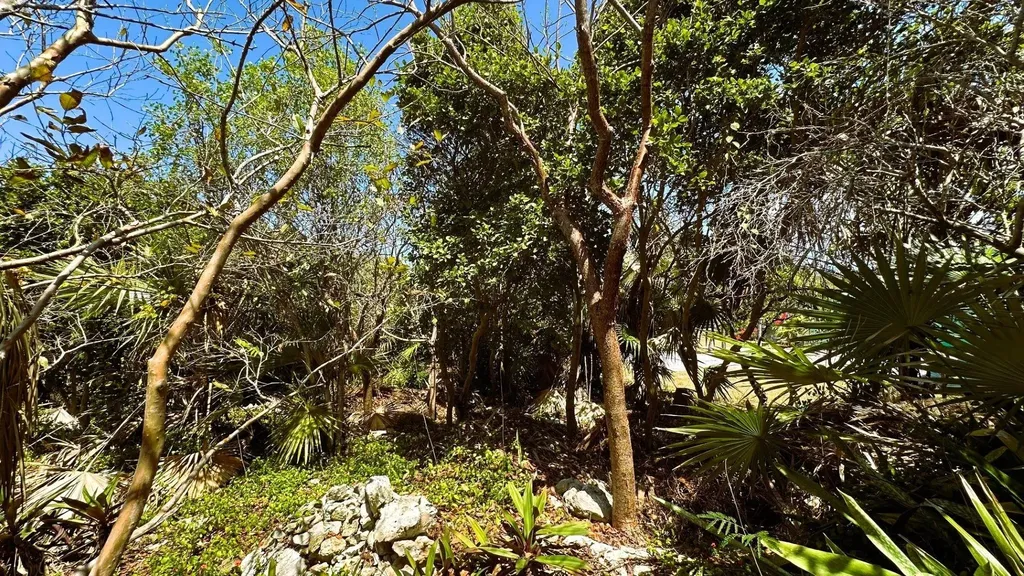 Elysium Signal Light Road Eleuthera BS