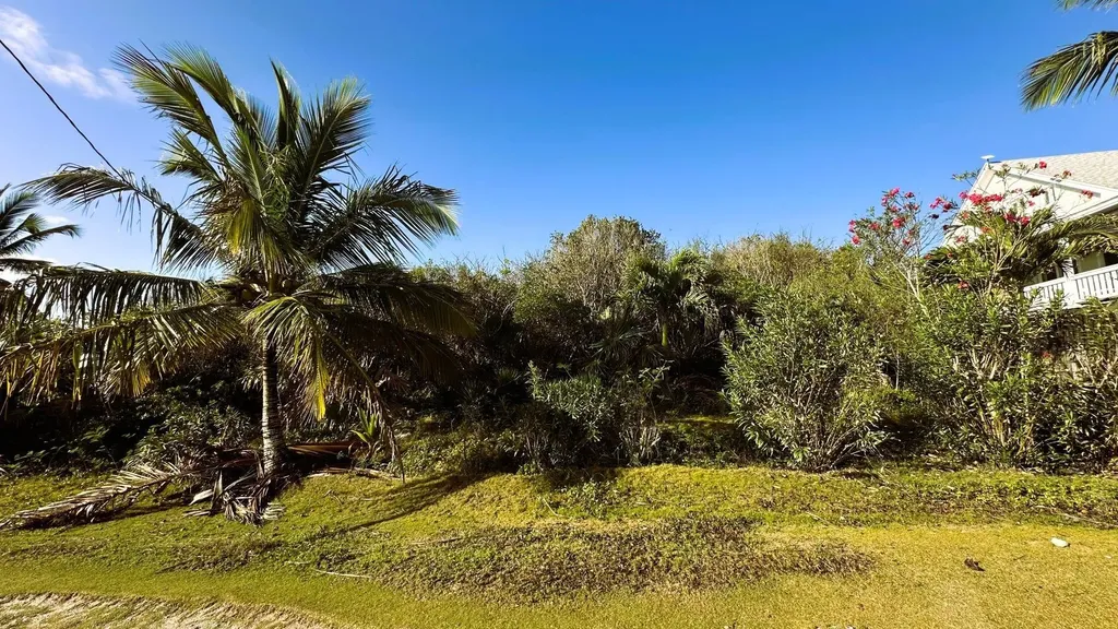 Elysium Signal Light Road Eleuthera BS