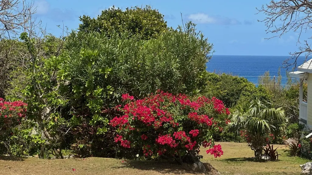Elysium Signal Light Road Eleuthera BS