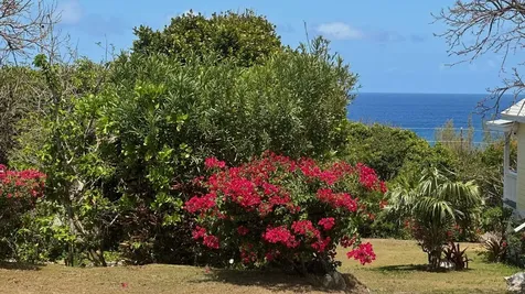 Elysium Signal Light Road Eleuthera BS