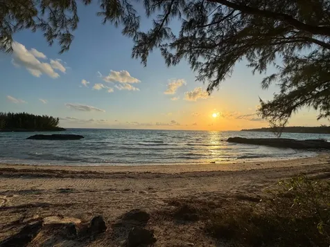 Sugar Apple, Rainbow Bay Eleuthera BS