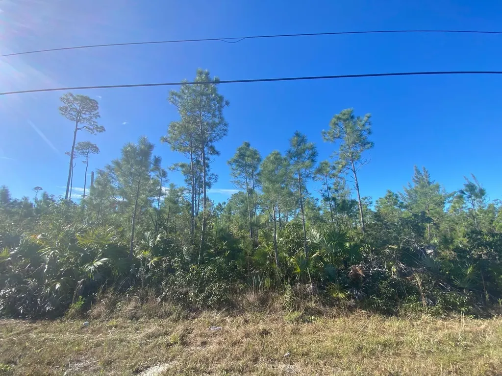 Boathook Avenue, Freeport 8 Grand Bahama Freeport BS