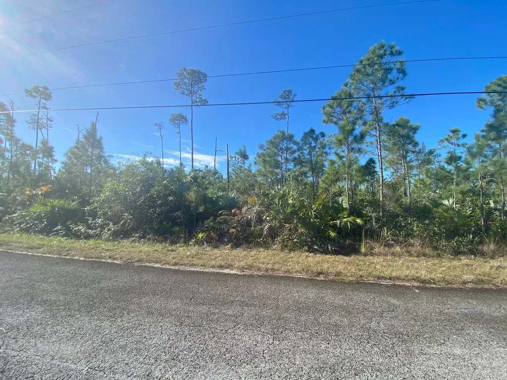 Boathook Avenue, Freeport 8 Grand Bahama Freeport BS