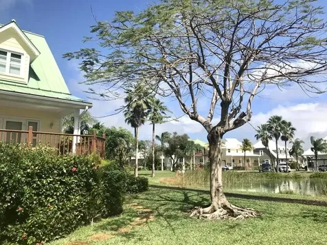 Doubloon Road Grand Bahama Freeport BS