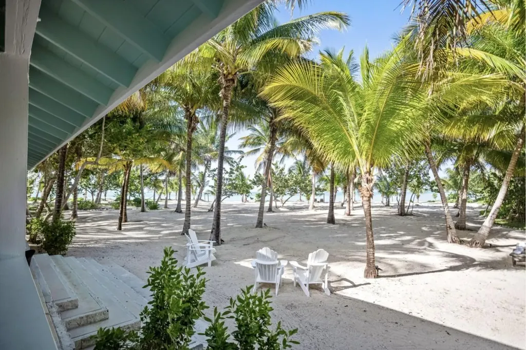 Driftwood. Andros BS