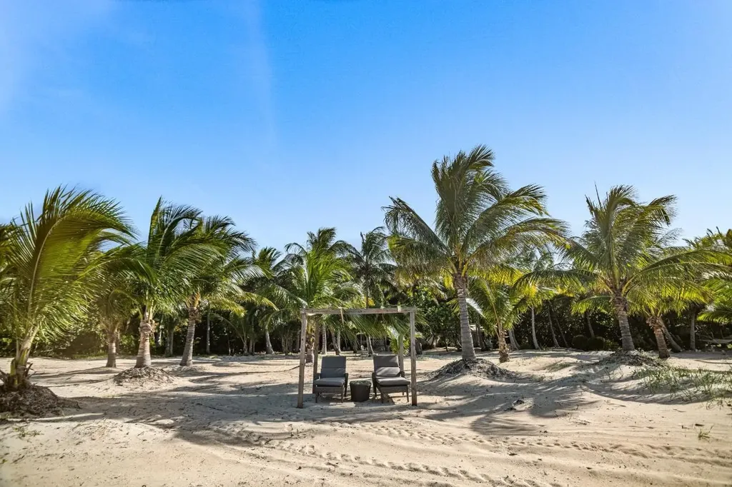 Driftwood. Andros BS