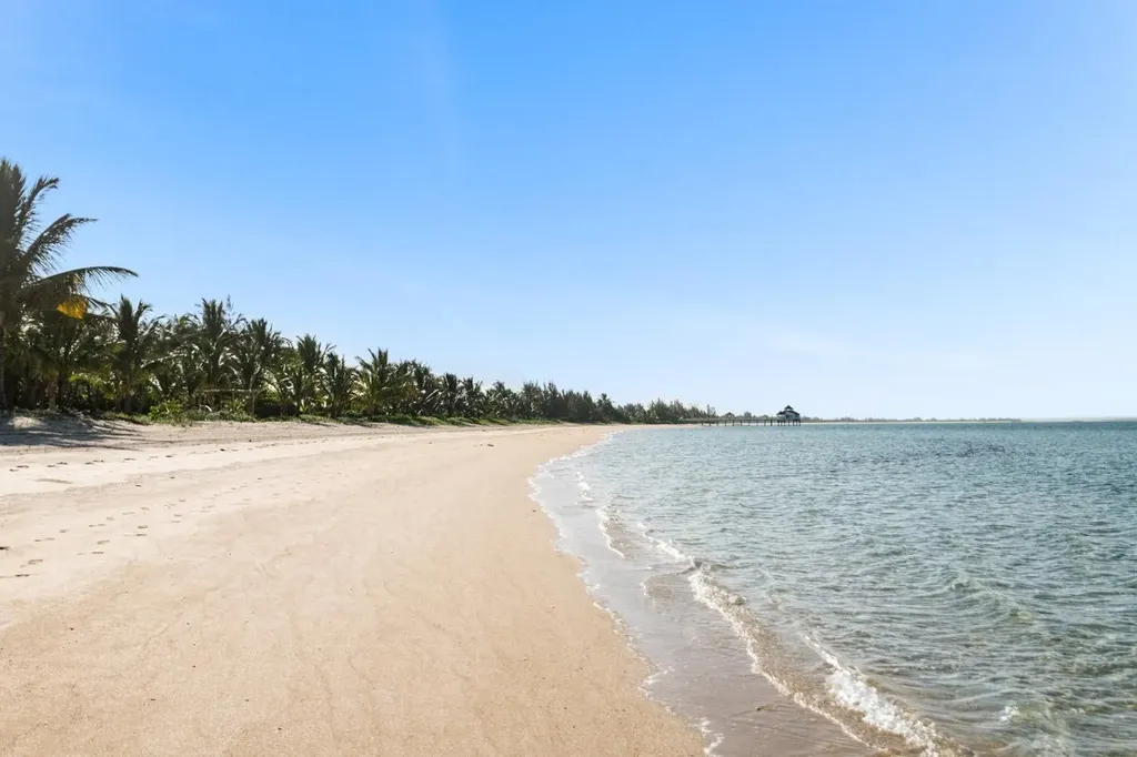 Driftwood. Andros BS