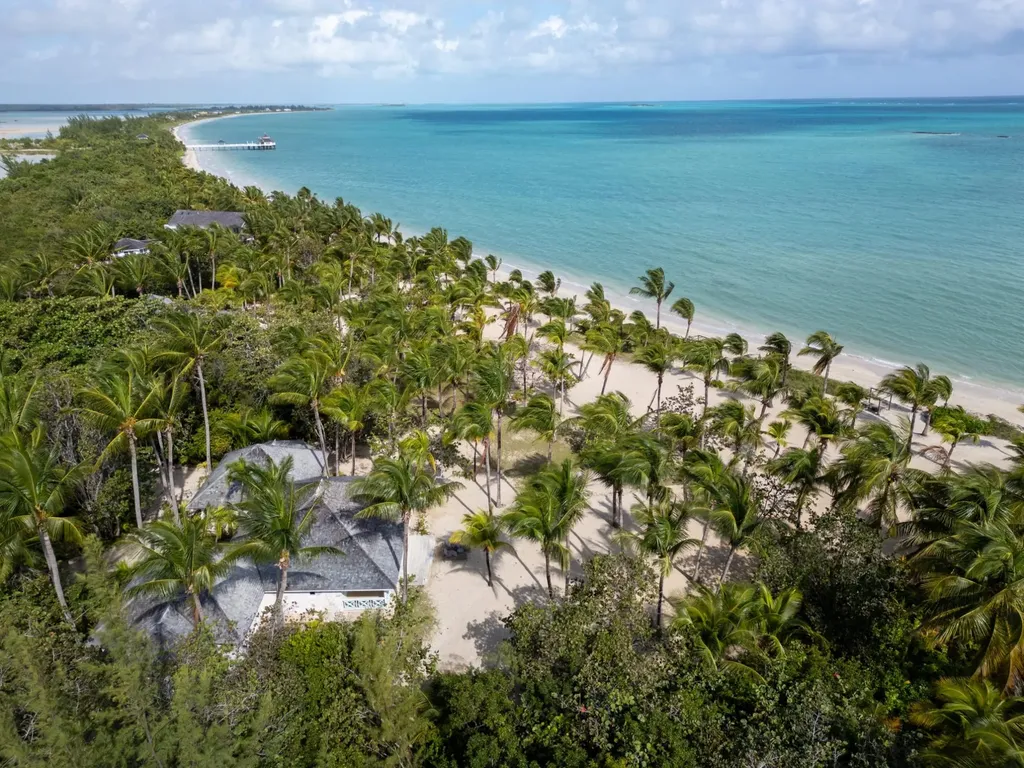 Driftwood. Andros BS