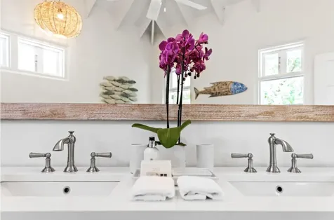 Driftwood. Andros BS