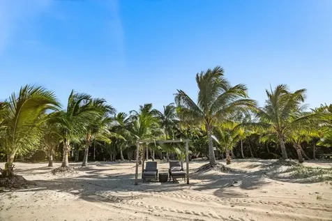 Driftwood. Andros BS