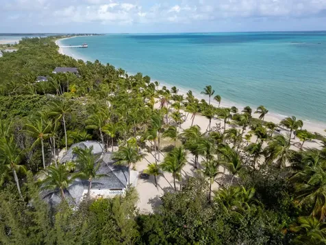 Driftwood. Andros BS