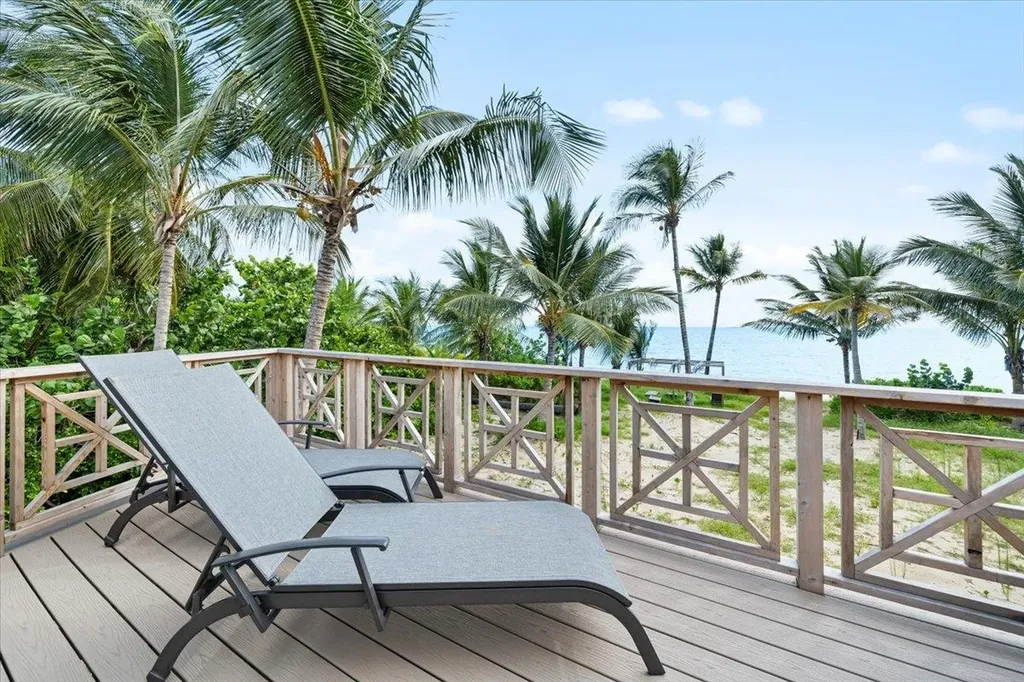 Queen Pineapple Andros BS