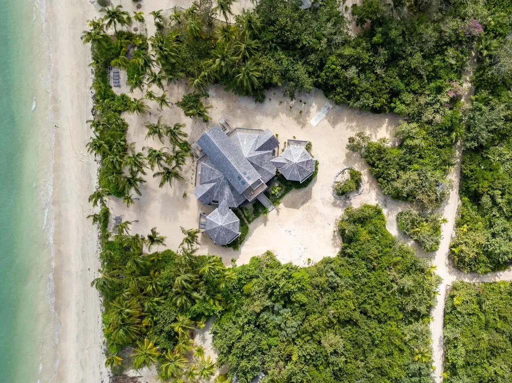 Queen Pineapple Andros BS