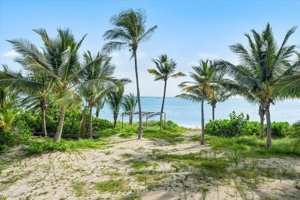 Queen Pineapple Andros BS