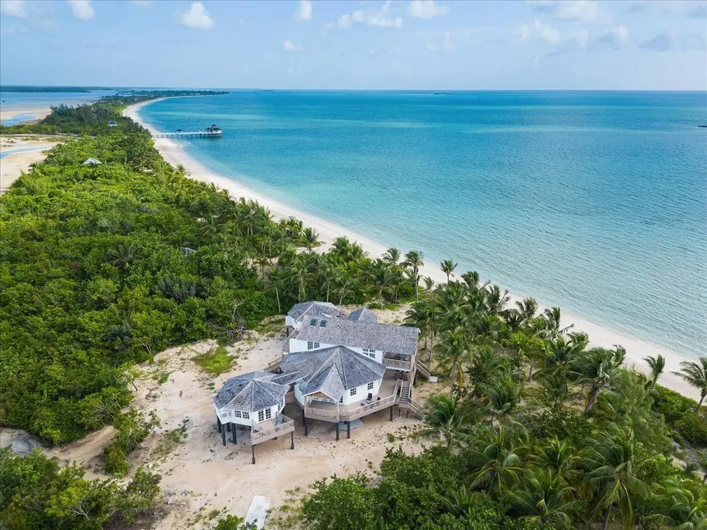 Queen Pineapple Andros BS