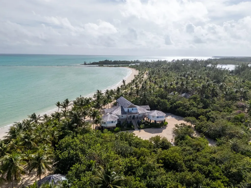 Queen Pineapple Andros BS