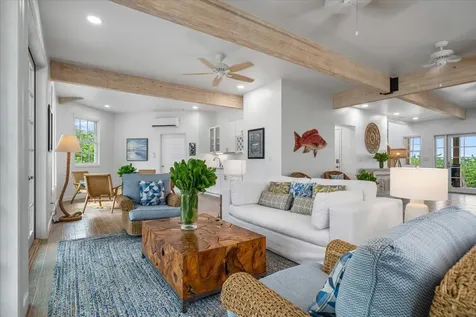 Queen Pineapple Andros BS