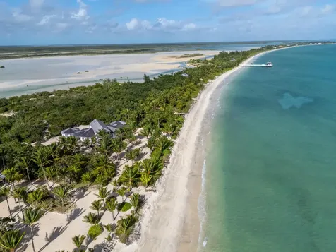 Queen Pineapple Andros BS