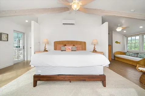 Queen Pineapple Andros BS