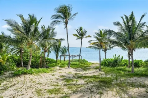 Queen Pineapple Andros BS