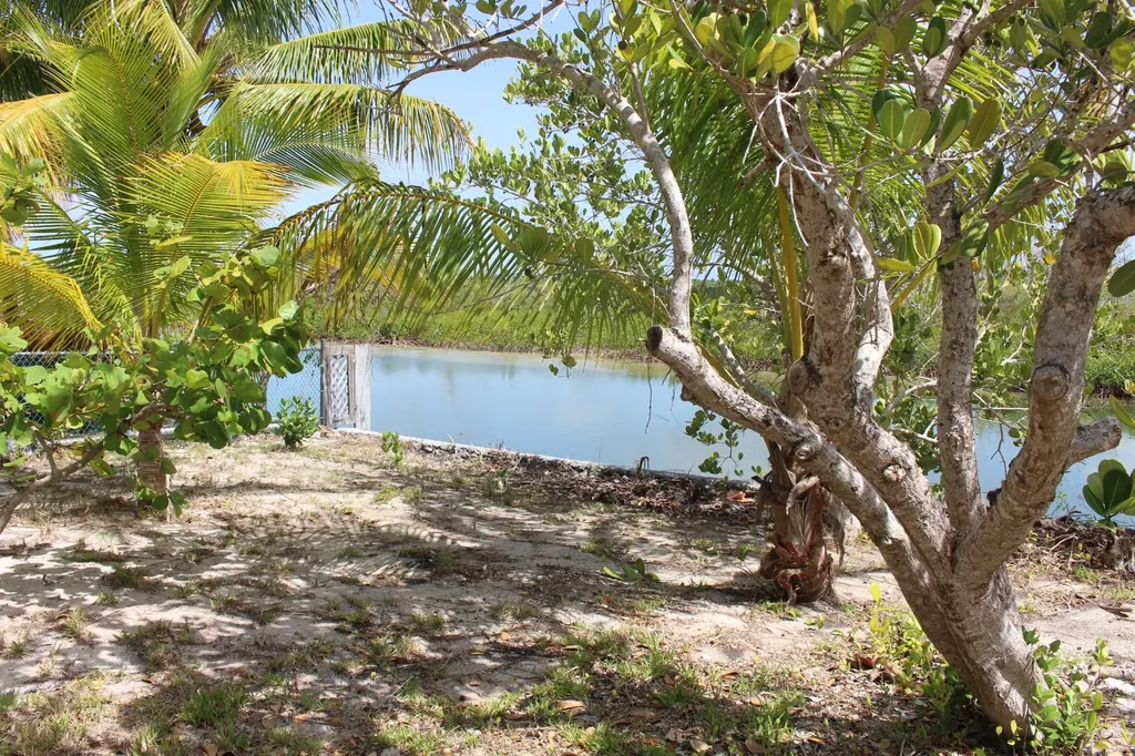 Ocean Drive 151 Abaco BS