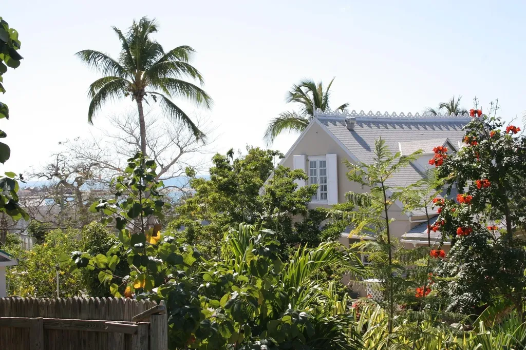 Piccolo Piccolino Eleuthera BS
