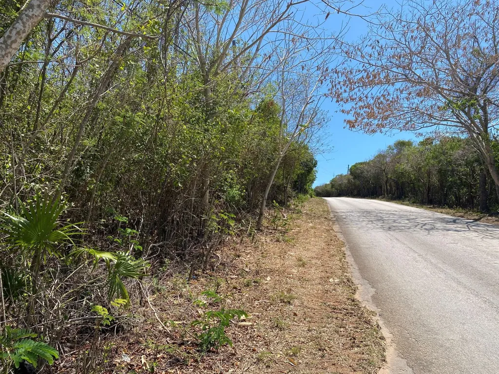 Eleuthera Island Shores Eleuthera BS