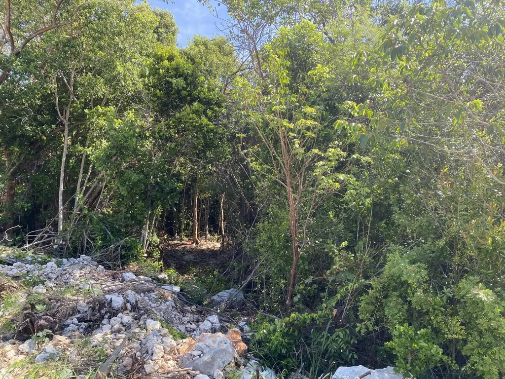 Elevated Gregory Town Lot Eleuthera BS