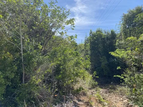 Elevated Gregory Town Lot Eleuthera BS