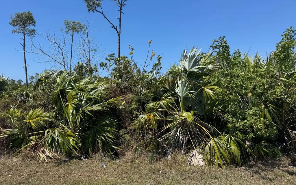 Bahamia West Lot Grand Bahama Freeport BS