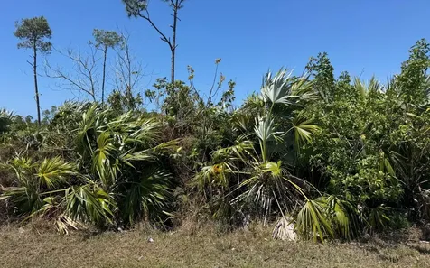 Bahamia West Lot Grand Bahama Freeport BS
