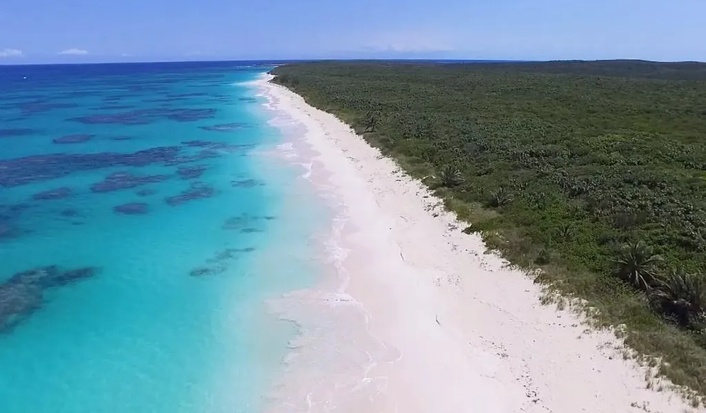 Butler Tract, Greenwood Cat Island BS